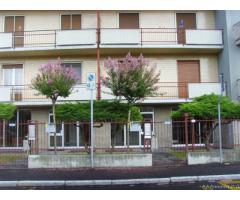 Novara Affitto Appartamento - Immagine 4