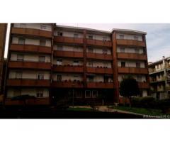 Novara: Appartamento Bilocale - Immagine 2