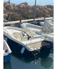 Barca open 5mt con Mercury F40 Hp ELPT - Immagine 2