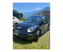 VW New Beetle