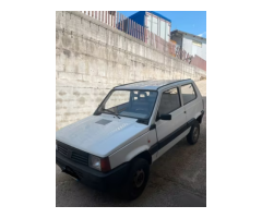 Fiat Panda 4x4 - Immagine 1